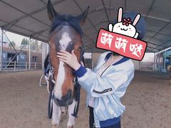 -大连凯洋马术俱乐部有限公司