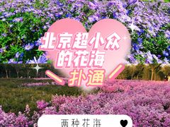 -桔子文创·企业团建·活动策划·拓展会议