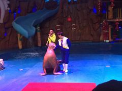 -烟台海昌鲸鲨海洋公园