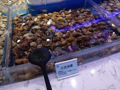 水产区-澜悦港海鲜体验主题餐厅