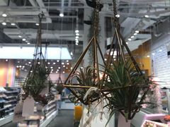 -KKV(深圳kk one 店)