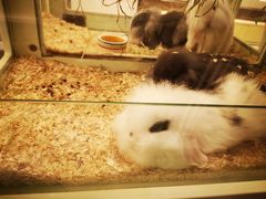 -龙猫仔乐园(惠福东路店)