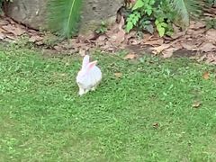 -虹御轩·传承江浙菜(虹桥店)