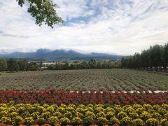 -富田农场