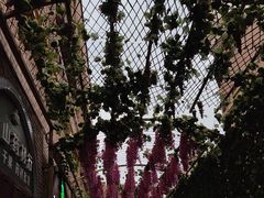 -新疆国际大巴扎