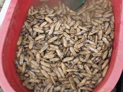 -芦潮港集贸市场