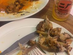 -百好乐宠物友好餐厅(朝外大街店)