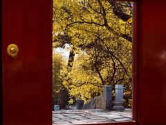 -红螺寺
