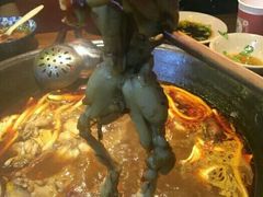-老天桥蛙炉火锅(姑苏总店)