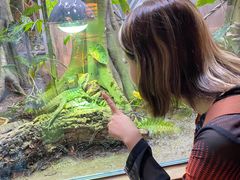 -帕帕拉兹宠物(亚洲旗舰店)