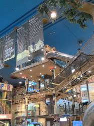 -卡通尼·Safari非洲探索乐园·生日会(金桥国际商业广场店)