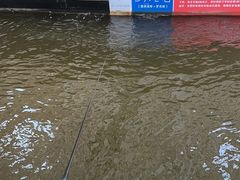 -粮心小农·大头虾亲子生态园(长发店)