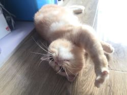 -ASG Hair Salon烫染·接发