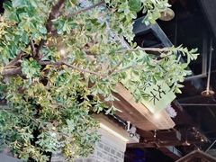 -绿茶餐厅(昆明世纪金源店)