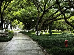-江心屿景区