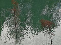 -广州市流溪河国家森林公园
