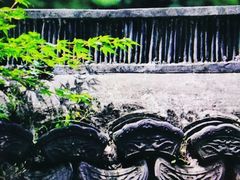-韬光茶庵