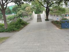 -月湖风景区