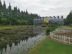 -前小桔亲子创意农场·草莓采摘·露营烧烤