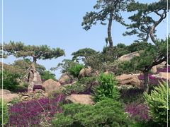 -罗红摄影艺术馆