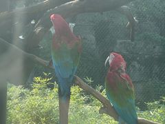 -武汉动物园