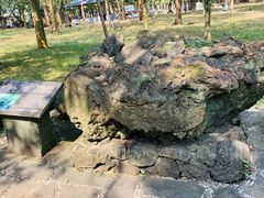 -海口火山口国家地质公园