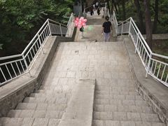-白水寺森林公园
