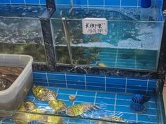 -阿巧一号私房菜(止园路店)
