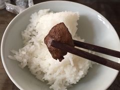-东吴霸王兔(松青路店)