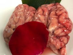 -青瓷火锅料理(西单大悦城店)
