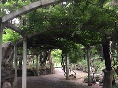 -叶家花园