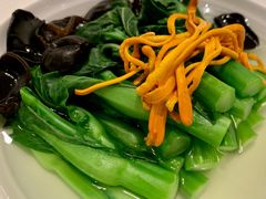 泉水木耳浸有机菜心-广州文华东方酒店·江-由辉师傅主理