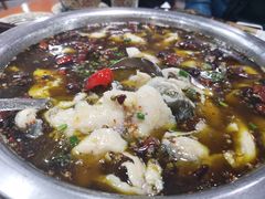 -陈有良尖椒鸡(渝中旗舰店)