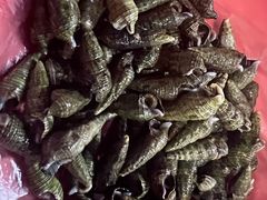 -胡仕光陵水酸粉