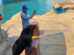 -秦皇岛乐岛海洋王国