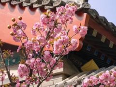 -北京颐和宾馆