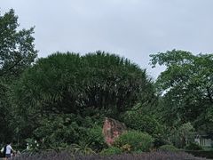 -滴水岩森林公园