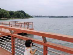 -丁香湖公园