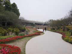 -秀丽东方