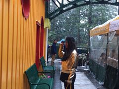 -三鹰之森吉卜力美术馆