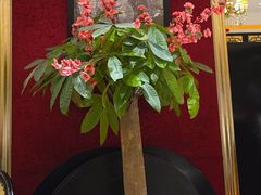 -上海1号私藏菜(黄浦店)