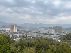 -金鸡山公园