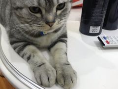 -麦德龙(郑东店)