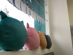 -安安宠物医院(佳林路分院)