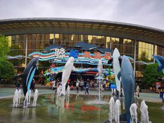-海合安成都极地海洋公园
