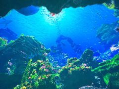 -海合安青岛极地海洋公园