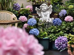 -秀儿家の小确幸花园西餐厅