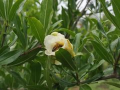 -白沙门生态公园