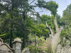 -莫干山风景区