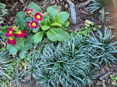 -国家植物园南园